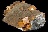 Wulfenite Crystals on Descloizite & Calcite -Los Lamentos, Mexico #163149-1